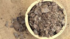 Ostropestřecové výlisky 1 kg