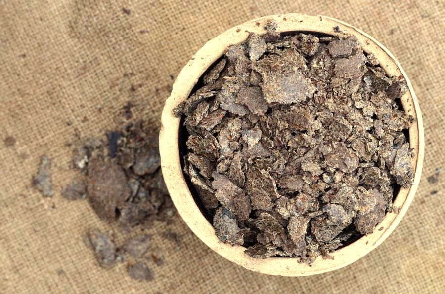 Ostropestřecové výlisky 1 kg