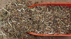 Směs pro tlouštíky 20 kg