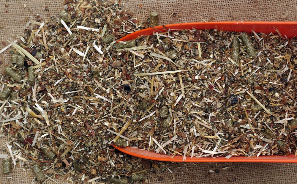 Směs pro tlouštíky 20 kg