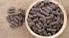 Pamlsky KokiNO GRAIN 1 kg