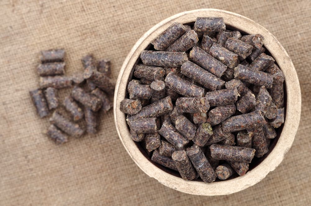 Pamlsky KokiNO GRAIN 1 kg